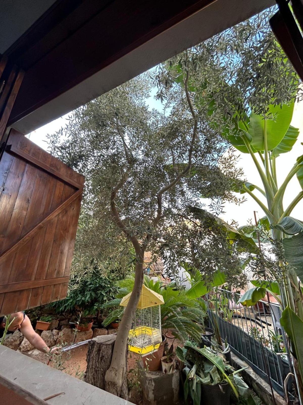 Magic Moon Guest House Famagusta  Buitenkant foto